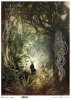 Nieodkryty magiczny świat - las, paproć, tajemnica, twarz, druidzi, kapłan celtycki, motywy celtyckie